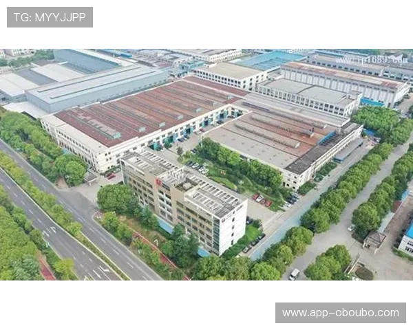 欧 博未来发展规划与战略布局，展望其在行业中的持续创新与长远目标