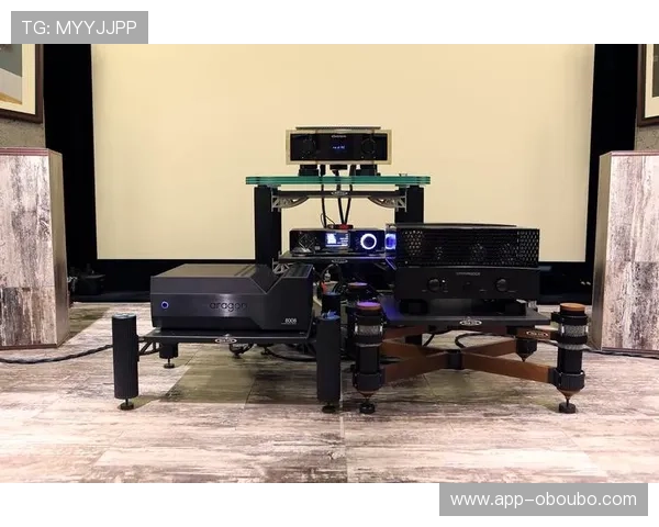 欧博1比1私盘最新玩法解析，助你轻松掌握高收益技巧