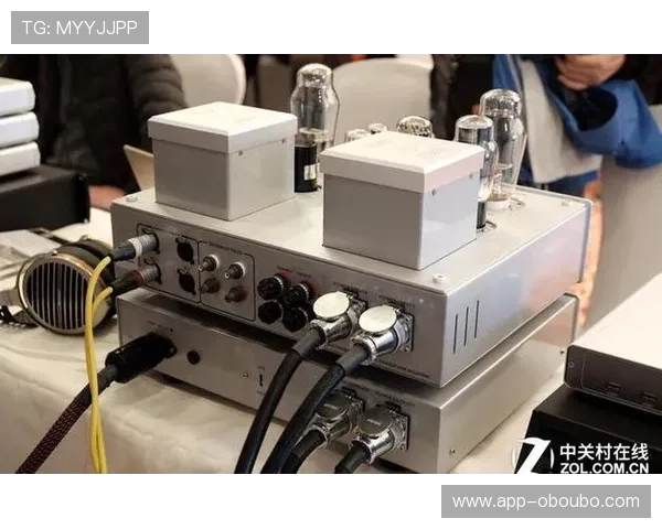 欧博官网官网平台操作指南，详细步骤帮助新手快速上手使用