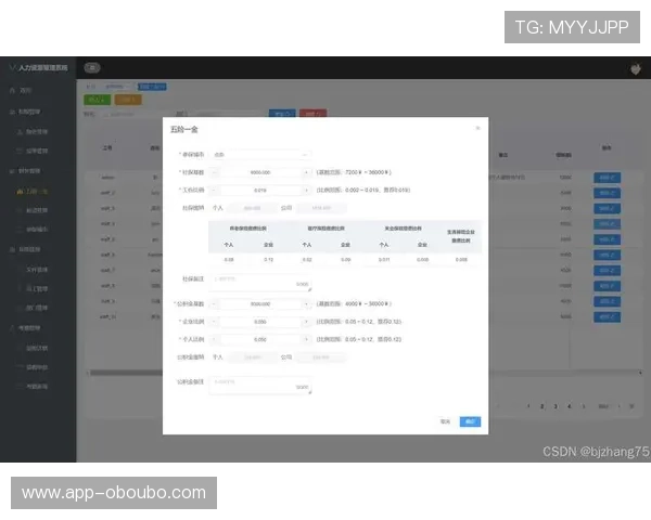 欧博管理系统在财务与人力资源管理中的实际应用案例