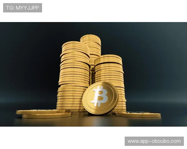 欧博私网一比一股东的法律保障与风险控制措施分析