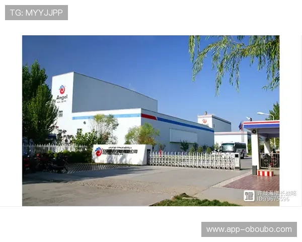 欧博集团有限公司：打造多元化产业布局实现持续增长的战略探索